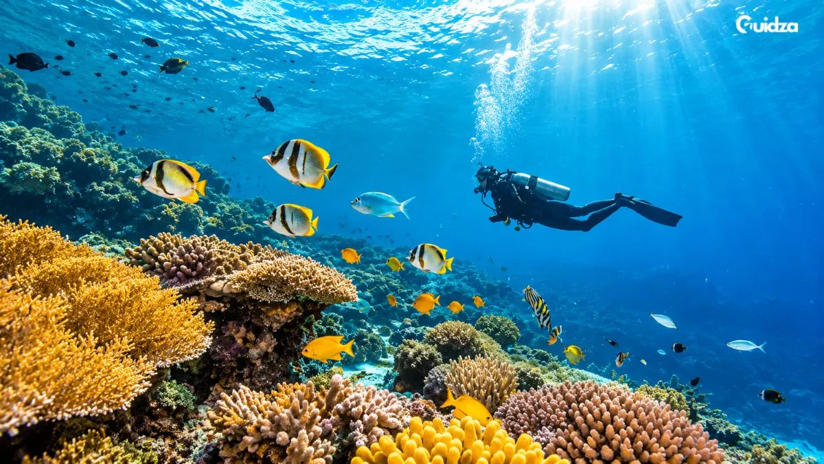 Bali snorkeling